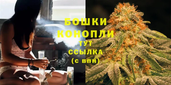 МДПВ Бородино