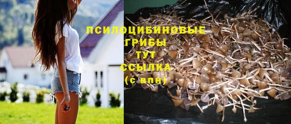 спайс Верхний Тагил