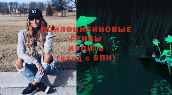 тгк Володарск