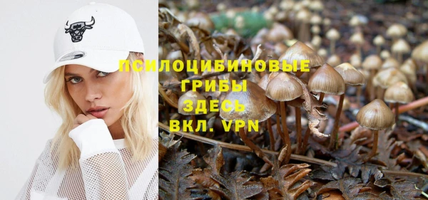 ALPHA PVP Верхнеуральск