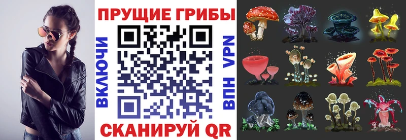 Галлюциногенные грибы MAGIC MUSHROOMS Долинск